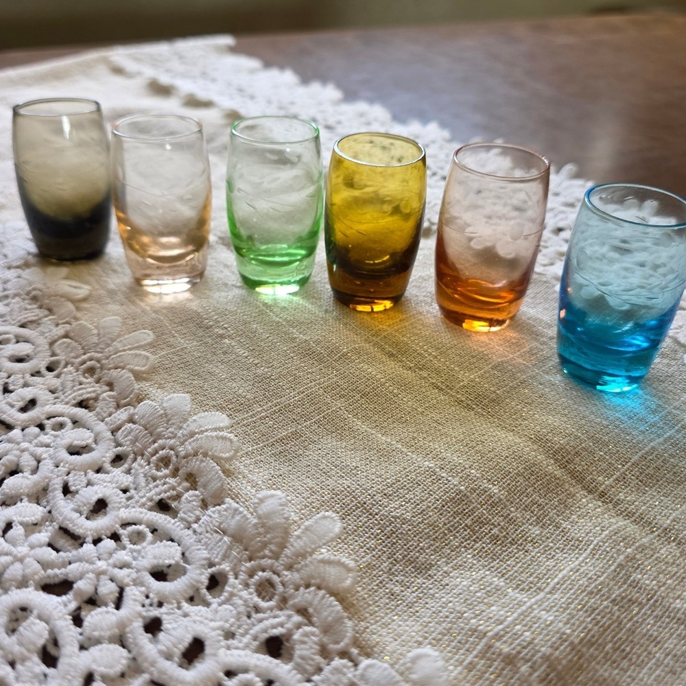 Vintage Multi-Color Etched Floral Shot Glasses Set of 6 Rainbow Barware MCM